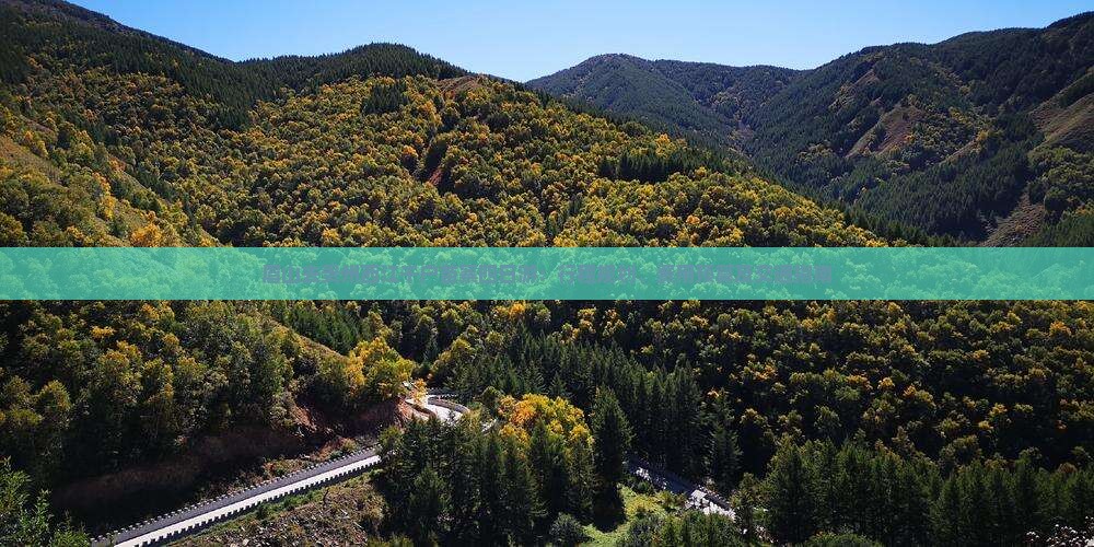 眉山去贵州西江千户苗寨四日游：行程规划、费用预算及交通指南