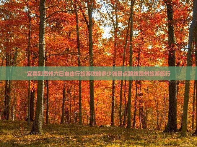 宜宾到贵州六日自由行旅游攻略多少钱景点路线贵州旅游旅行
