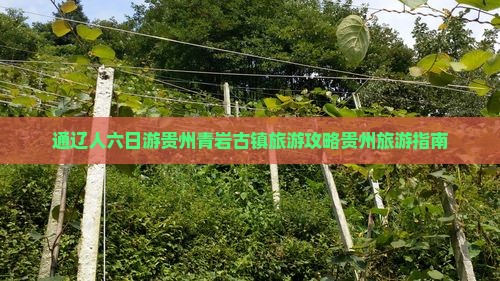 通辽人六日游贵州青岩古镇旅游攻略贵州旅游指南