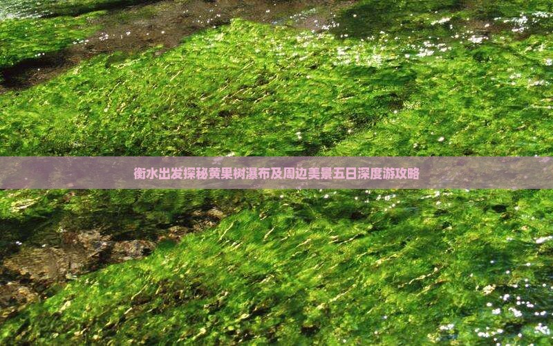 衡水出发探秘黄果树瀑布及周边美景五日深度游攻略