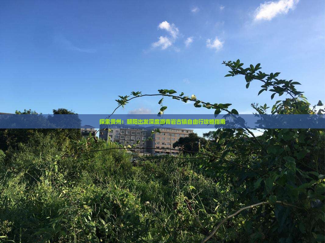 探索贵州：朝阳出发深度游青岩古镇自由行攻略指南