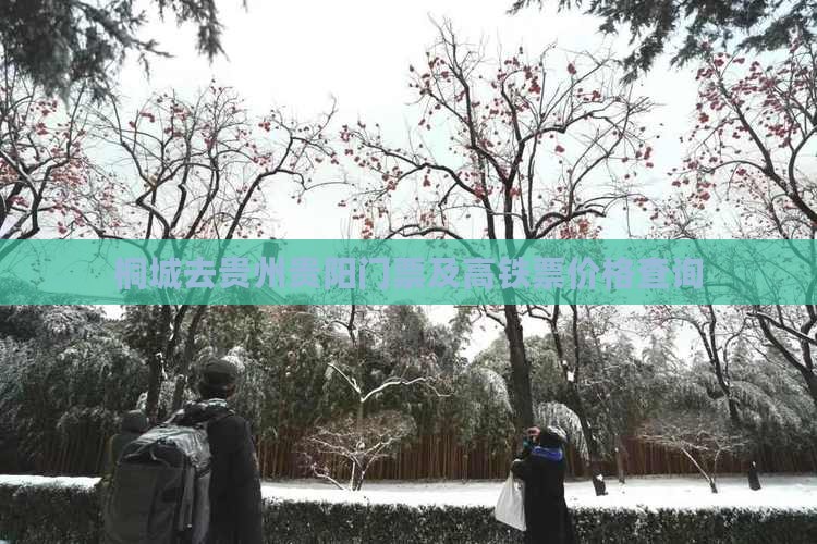 桐城去贵州贵阳门票及高铁票价格查询