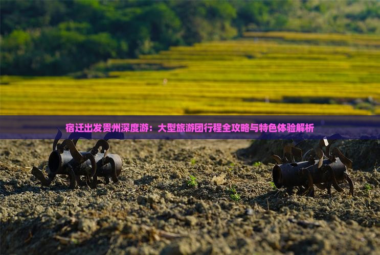 宿迁出发贵州深度游：大型旅游团行程全攻略与特色体验解析