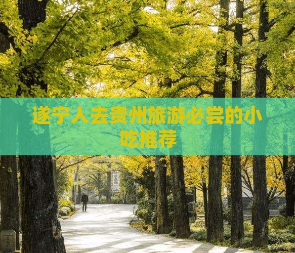遂宁人去贵州旅游必尝的小吃推荐