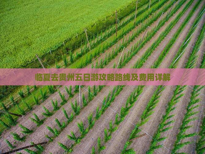 临夏去贵州五日游攻略路线及费用详解