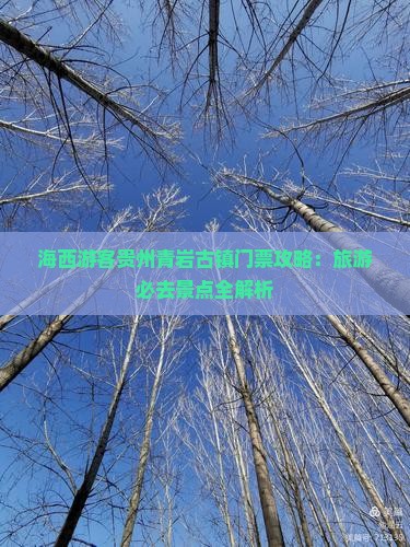 海西游客贵州青岩古镇门票攻略：旅游必去景点全解析