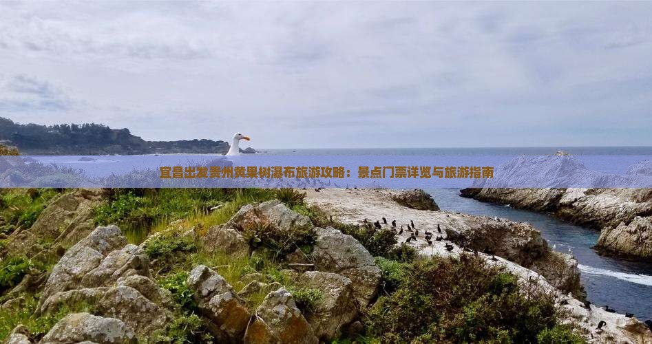 宜昌出发贵州黄果树瀑布旅游攻略：景点门票详览与旅游指南