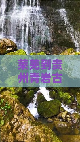 莱芜到贵州青岩古镇四日游费用及路线攻略