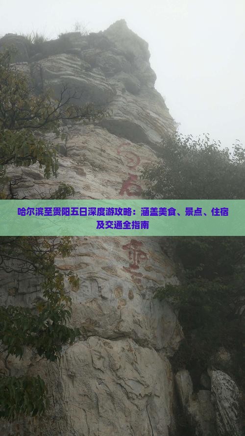 哈尔滨至贵阳五日深度游攻略：涵盖美食、景点、住宿及交通全指南