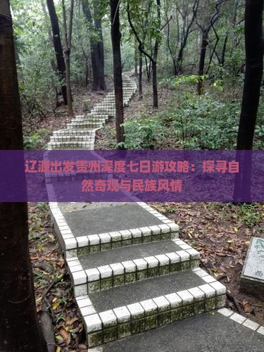 辽源出发贵州深度七日游攻略：探寻自然奇观与民族风情