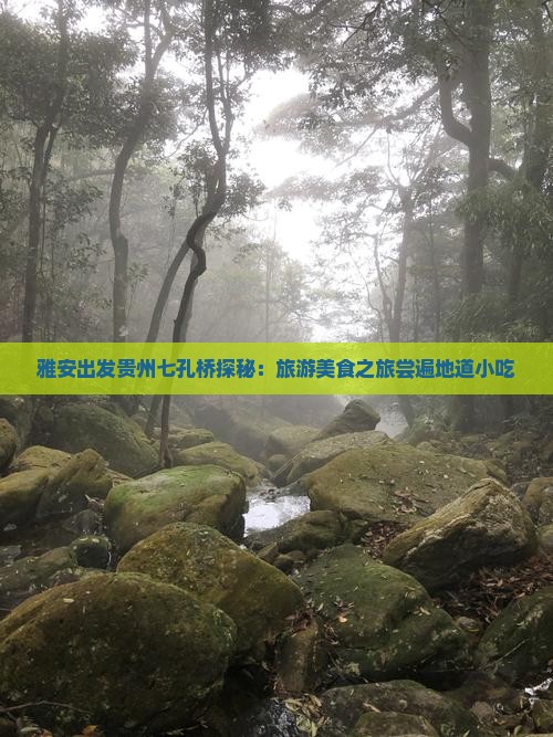 雅安出发贵州七孔桥探秘：旅游美食之旅尝遍地道小吃