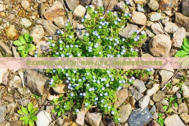 张北到贵州小七孔一日游：穿越千山万水，领略自然奇观与文化瑰宝