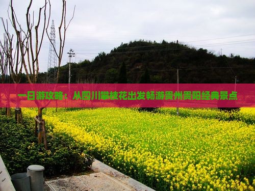 一日游攻略：从四川攀枝花出发畅游贵州贵阳经典景点