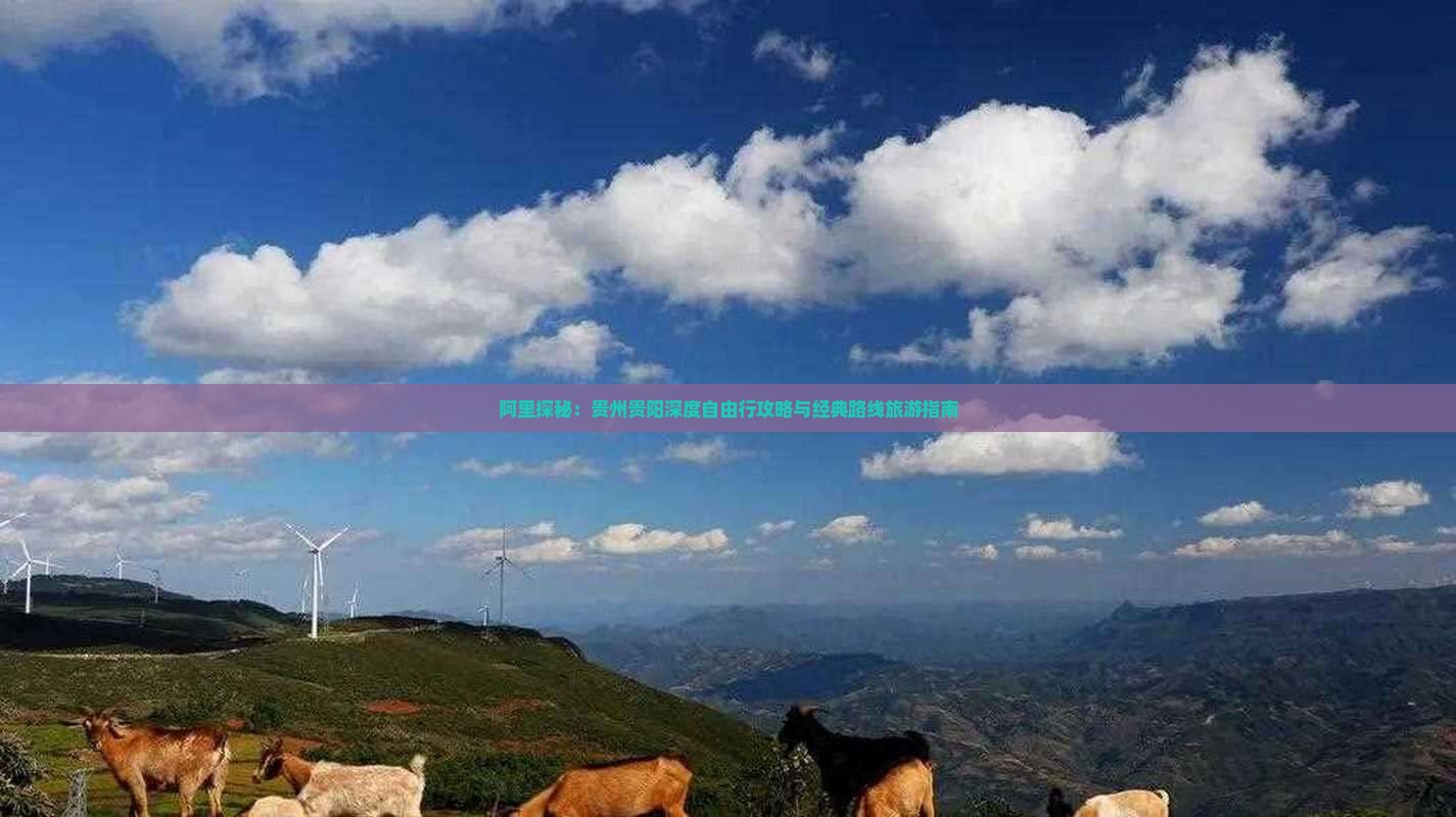 阿里探秘：贵州贵阳深度自由行攻略与经典路线旅游指南