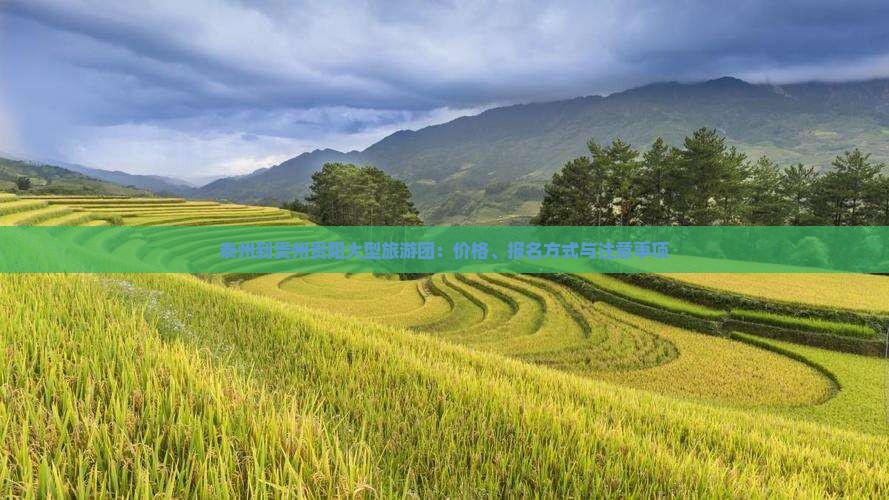 泰州到贵州贵阳大型旅游团：价格、报名方式与注意事项