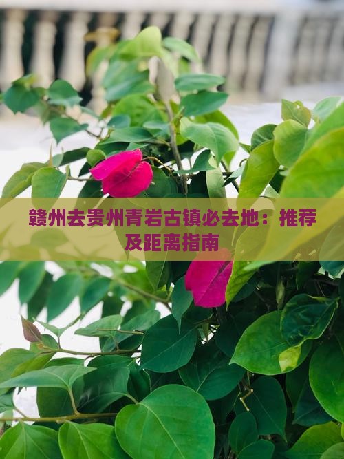 赣州去贵州青岩古镇必去地：推荐及距离指南