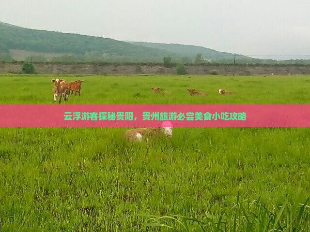 云浮游客探秘贵阳，贵州旅游必尝美食小吃攻略