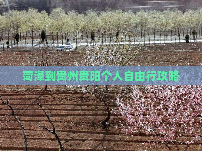 菏泽到贵州贵阳个人自由行攻略