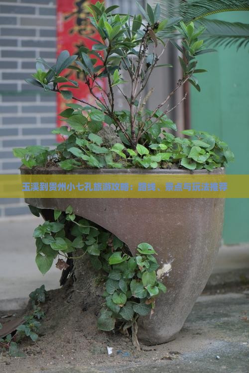 玉溪到贵州小七孔旅游攻略：路线、景点与玩法推荐
