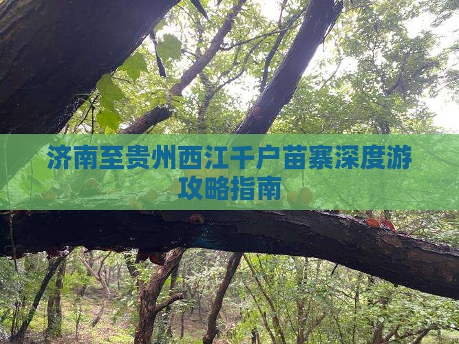 济南至贵州西江千户苗寨深度游攻略指南