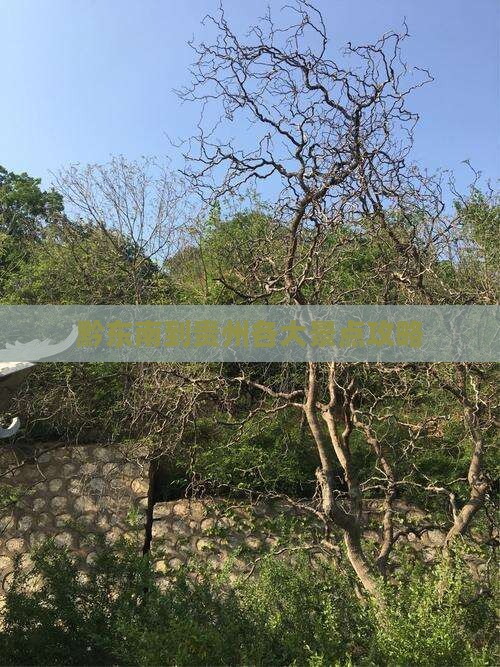 黔东南到贵州各大景点攻略