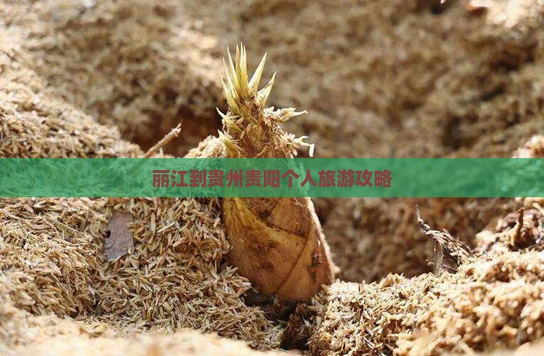 丽江到贵州贵阳个人旅游攻略