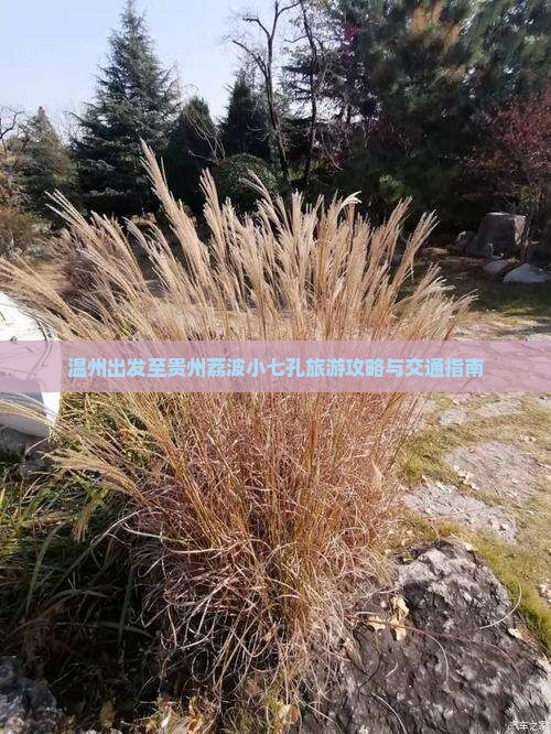 温州出发至贵州荔波小七孔旅游攻略与交通指南