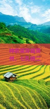 神农架穿越贵州，七孔桥二日游攻略：贵州旅游深度体验