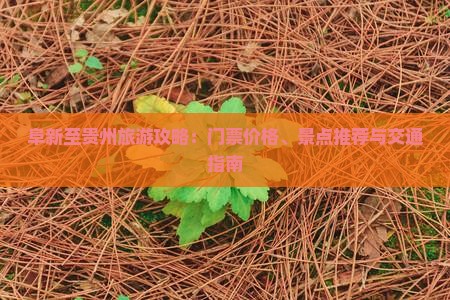 阜新至贵州旅游攻略：门票价格、景点推荐与交通指南