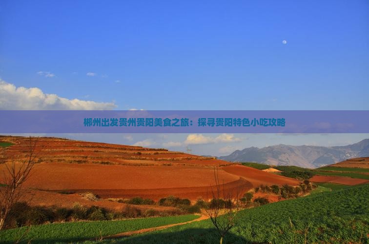 郴州出发贵州贵阳美食之旅：探寻贵阳特色小吃攻略