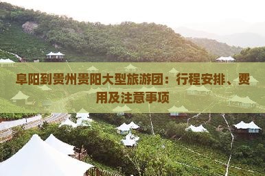 阜阳到贵州贵阳大型旅游团：行程安排、费用及注意事项