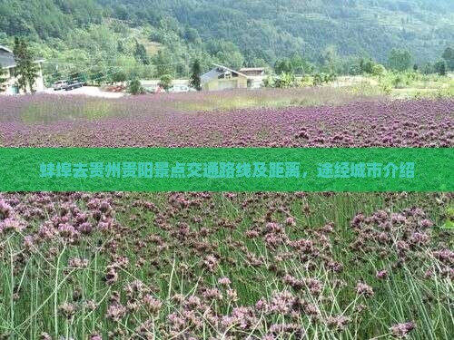 蚌埠去贵州贵阳景点交通路线及距离，途经城市介绍