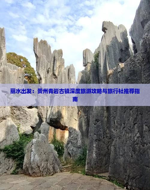 丽水出发：贵州青岩古镇深度旅游攻略与旅行社推荐指南