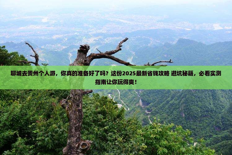 聊城去贵州个人游