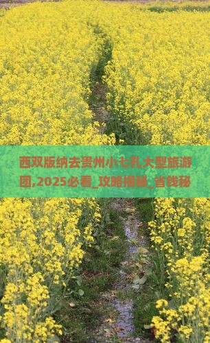 西双版纳去贵州小七孔大型旅游团