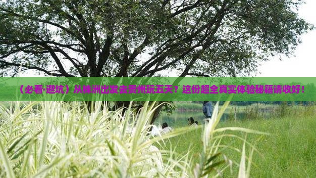 株洲到贵州五日游