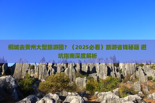 桐城去贵州大型旅游团