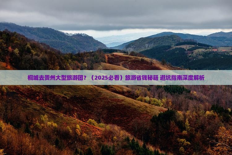 桐城去贵州大型旅游团