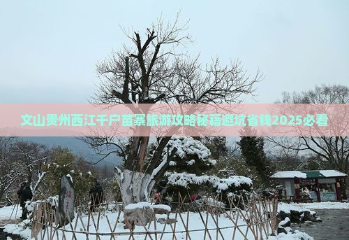 文山去贵州西江千户苗寨自由团