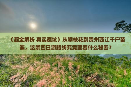 攀枝花去贵州西江千户苗寨四日游