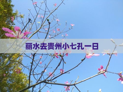 丽水去贵州小七孔一日