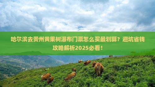 哈尔滨去贵州黄果树瀑布门票
