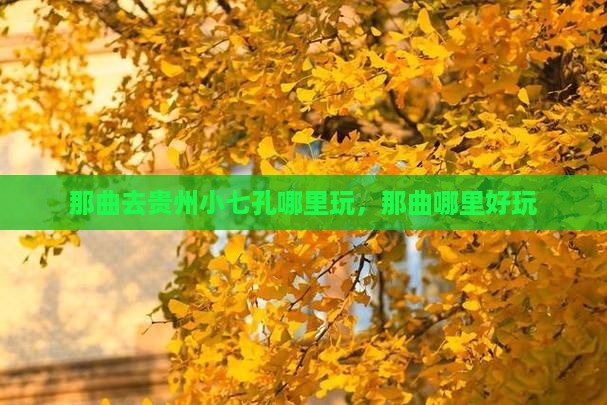 那曲去贵州小七孔哪里玩