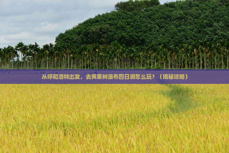 呼和浩特去贵州黄果树瀑布四日游