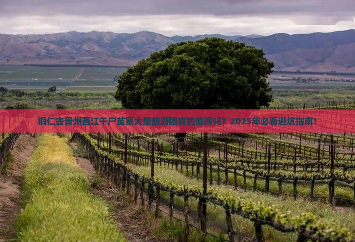 铜仁去贵州西江千户苗寨大型旅游团