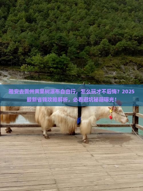 雅安去贵州黄果树瀑布自由行