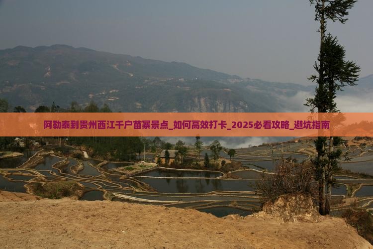 阿勒泰到贵州西江千户苗寨景点
