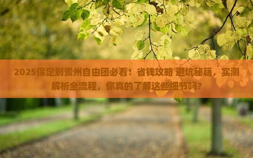 保定到贵州自由团