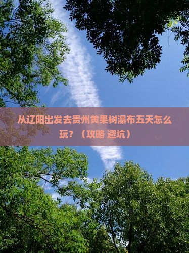 辽阳到贵州黄果树瀑布五日游 辽阳到贵州黄果树瀑布五日游