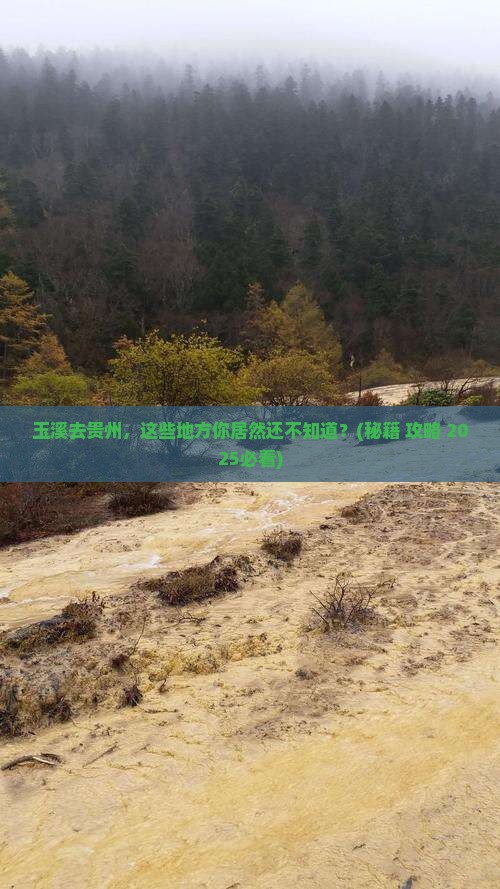 玉溪到贵州必去地